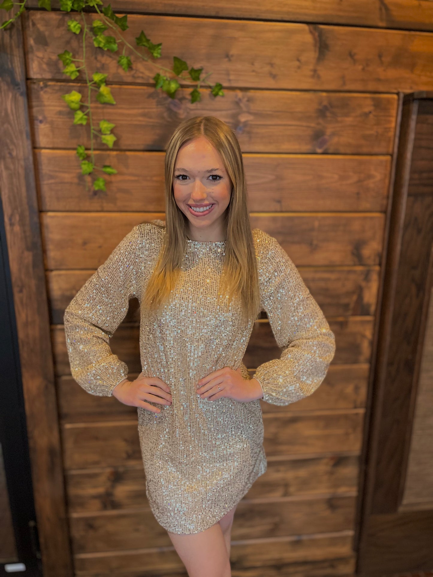 ZSupply | Andromeda Sequin Dress