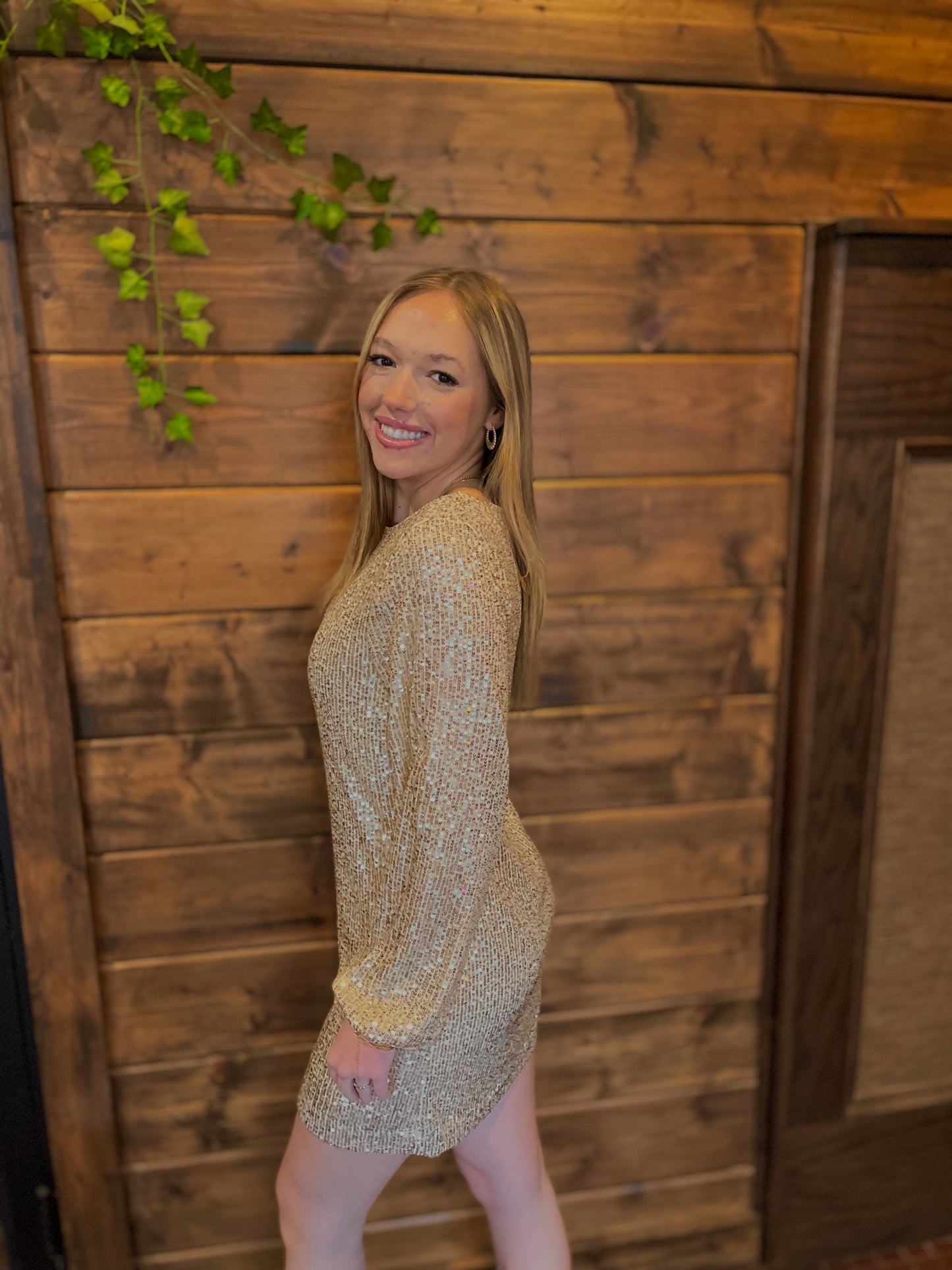ZSupply | Andromeda Sequin Dress
